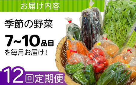 【12回定期便】野菜定期便 7〜10品目 / ながさき南部 [SBW005] 