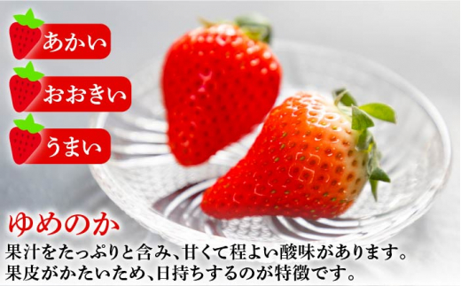 ゆめ恋セット（ゆめのか・恋みのり）計1kg《壱岐市》【蒼花】[JEO001] いちご イチゴ 苺 フルーツ 果物 スムージー ジャム ゆめのか 恋みのり セット 食べ比べ 小分け パック 冷蔵 あまお