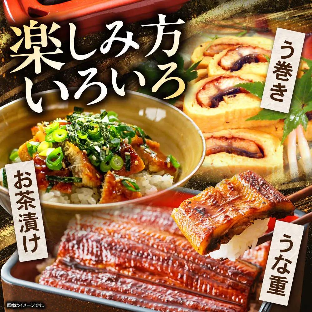 ＜諫早淡水＞うなぎ蒲焼 10尾 / うなぎ ウナギ 鰻 蒲焼き 蒲焼 かばやき 国産 冷凍 小分け うな重 うな丼 ひつまぶし / 諫早市 / 諫早淡水株式会社 [AHAT003]