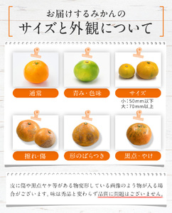 訳あり 熊本県産 温州みかん 約 5kg 