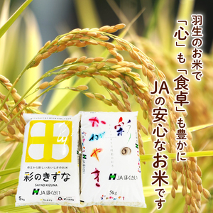 【新米】予約受付 2025 令和7年度産 新米 精米 10kg 彩のかがやき 彩のきずな お米食べ比べ 10月中旬以降順次発送 米 埼玉県 羽生市