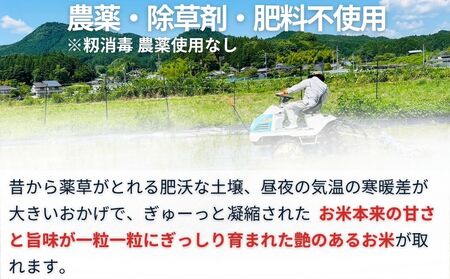 先行予約販売★自然栽培米★新米【令和6年産】玄米 5kg ９月末より順次発送/自然栽培米 新米 令和6年産 玄米  農家やまおか 無農薬 国産 お米 奈良県 宇陀市