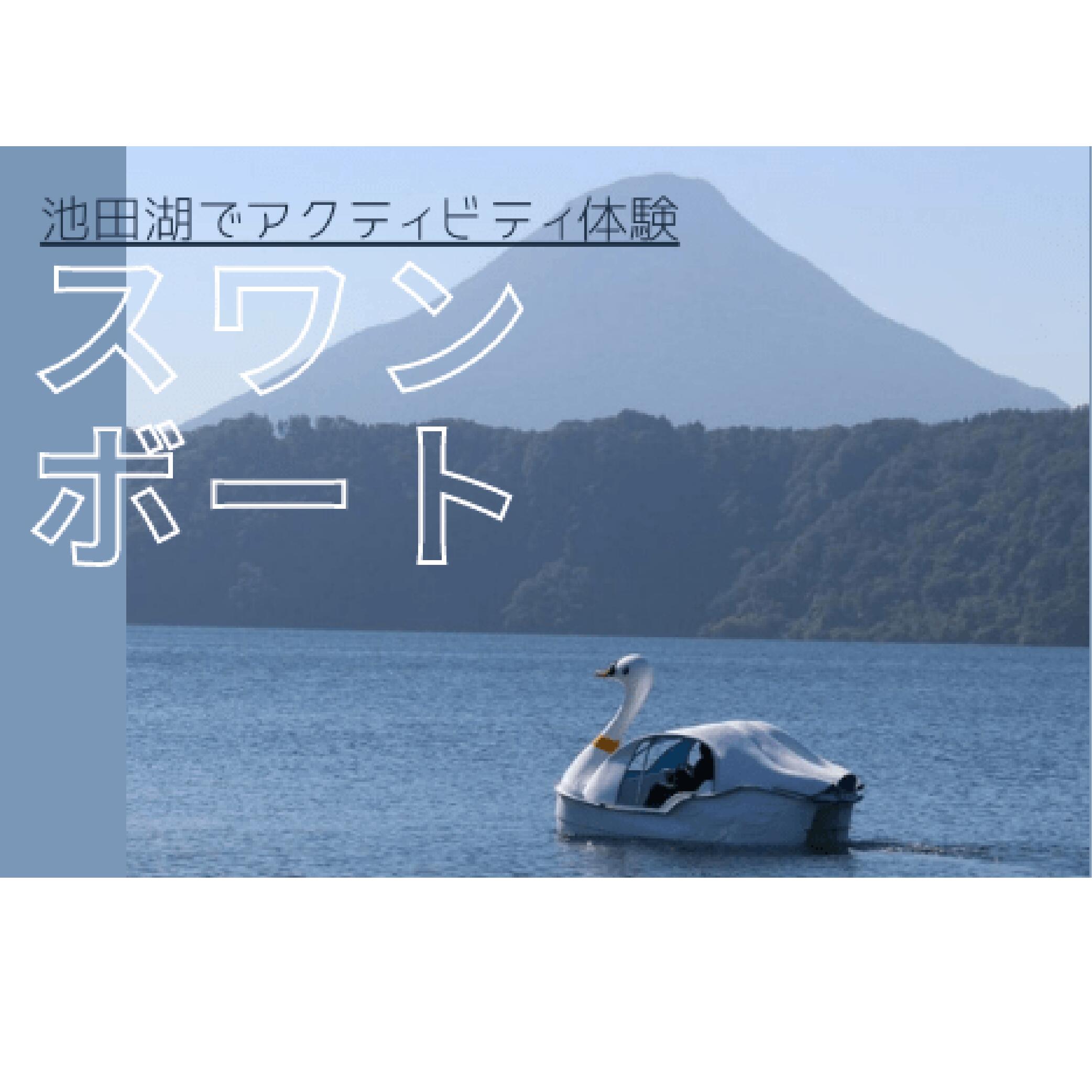 【ふるさと納税】＜池田湖でアクティビティ体験＞スワンボート体験(1台レンタル・60分間・乗船人数目安、大人2名と小人2〜3名) 体験 旅行 観光 鹿児島県 指宿 家族 夏休み レジャー 【えぷろんはうす池田】
