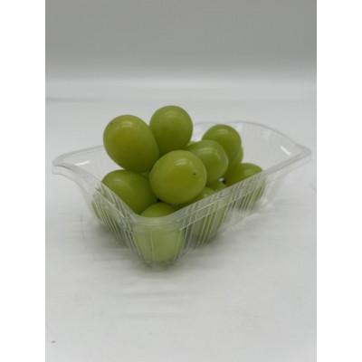 ふるさと納税 井原市 【発送月固定定期便】岡山県産 フルーツ定期便<お一人様向け>全6回 |  | 03