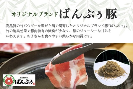 ブランド豚「ばんぶぅ」小分け 豚バラしゃぶしゃぶ用 4kg（500g×8パック） 冷凍便 4キロ 豚肉 豚バラ肉 豚バラスライス肉 豚しゃぶ 薄切り肉 うす切り肉 すき焼き用 すきやき用 ブタ肉 国産