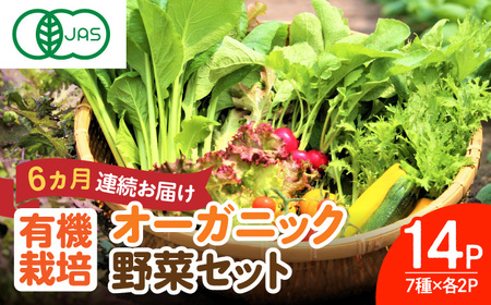 【全6回定期便】オーガニック葉物野菜セット 7種×2パック 有機JAS / 野菜 野菜 野菜 野菜 野菜 野菜 野菜 / 佐賀県 / 株式会社サガンベジ [41ANCH006]