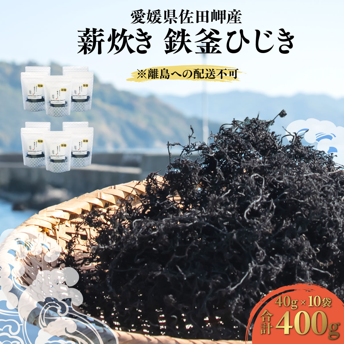 【ふるさと納税】 【先行予約】 【2026年3月中旬以降順次配送】薪炊き 鉄釜ひじき 40g×10袋 計400g 愛媛県佐田岬産 ※離島への配送不可 人気 おすすめ ランキング ひじき ヒジキ 鉄釜ひじき 煮物 栄養 サラダ 鉄分 炊き込みご飯 愛媛県産 愛媛県 伊方町 送料無料】 IKTAL002