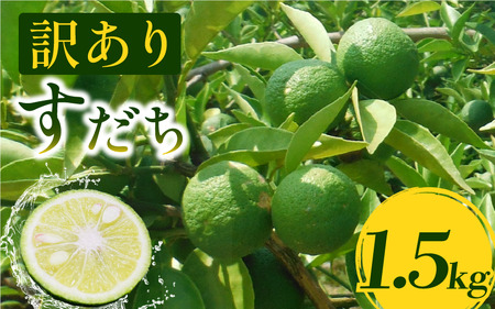 訳あり すだち 1.5kg 家庭用 2025年9月上旬～9月中旬 順次発送 栽培期間中農薬不使用 スダチ すだち すだち すだち