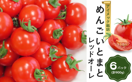 【先行予約】めんごいとまと TYレッドオーレ 150g×6パック ( 計900g ) 1月発送 めんごいとまとたむら アイメック栽培 ミニトマト トマト プチトマト 冬トマト 野菜 農家直送 ギフト プレゼント 新鮮 福島県 田村市 堀越農園