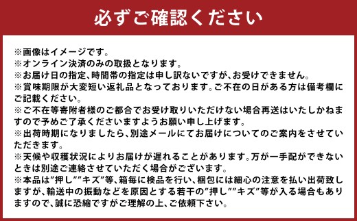 岡山シャインマスカット 3～4房 約2キロ