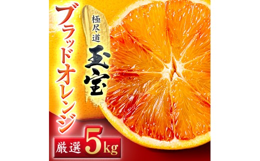 ＜愛媛名産＞玉宝ブラッドオレンジ(タロッコ)　5kg＜E64-68＞【1621810】 YWTY057