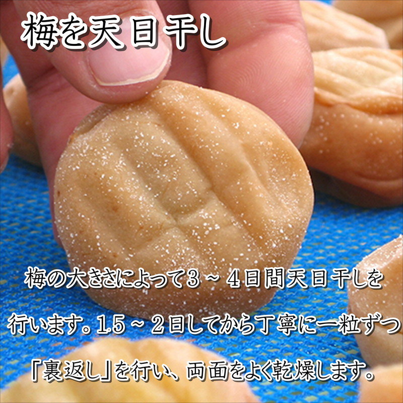 紀州南高梅使用 桃風味梅干 1.5kg（和歌山県産）