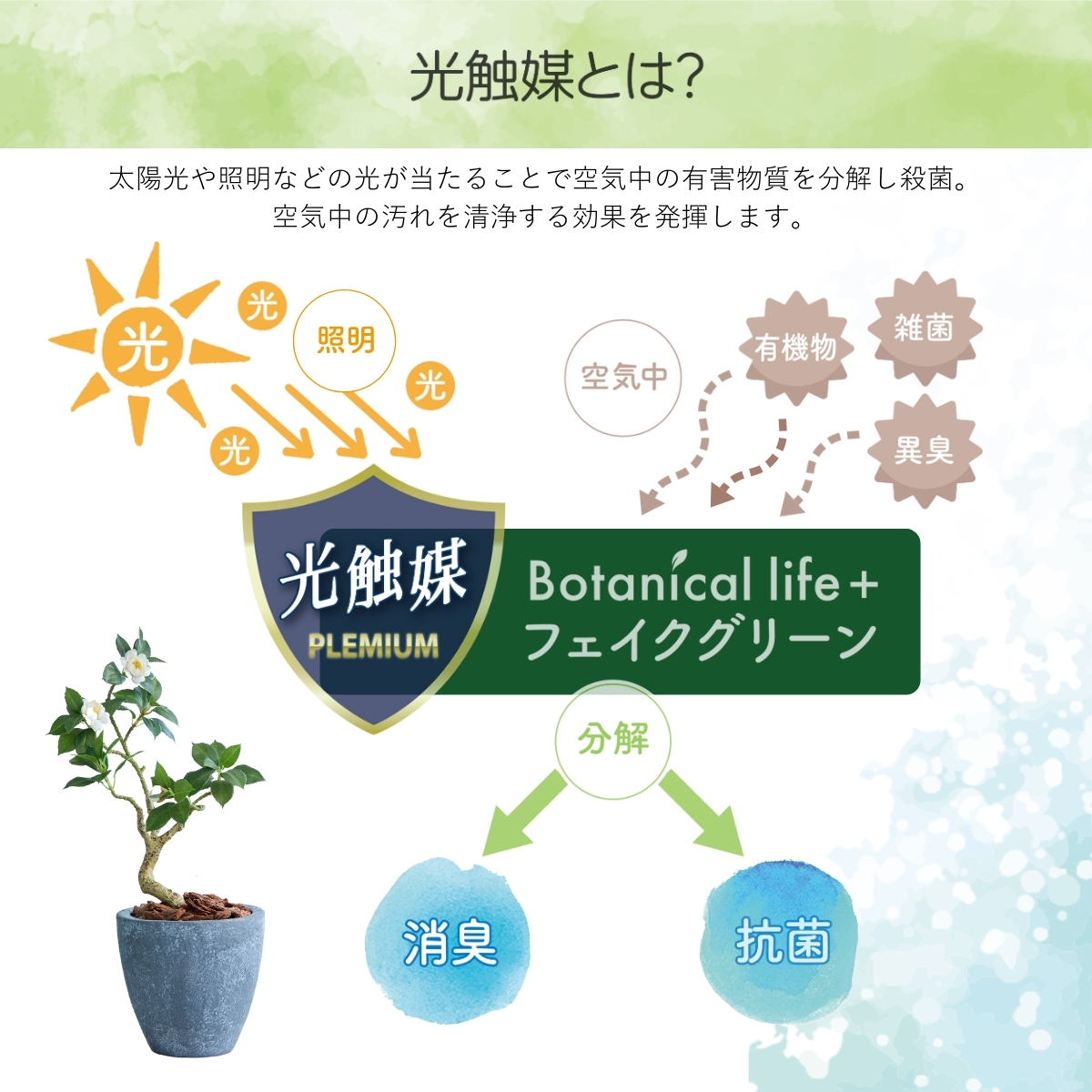 フェイクグリーン Botanical life+ Dシリーズ ツバキ 60cm 光触媒加工 鉢付き (鉢: 石造り風 ライトストーン ) インテリア 抗菌 消臭 愛知県 豊橋市 送料無料 35000円