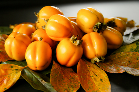 【発送月固定定期便】フルーツ定期便B 旬の美味しい果物を毎月1種全4回【配送不可地域：離島】【4014615】