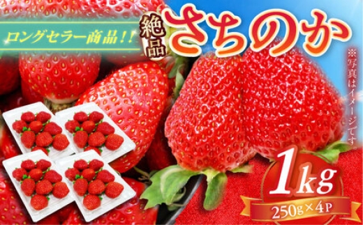 さちのか 1kg（250g×4パック） / いちご / 佐賀県 / リフルット株式会社 [41ABAA006]