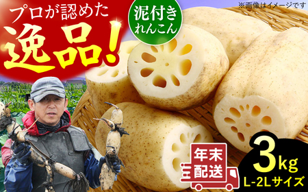 【年末発送】田島屋れんこん 3kg（泥付き） / れんこん / 佐賀県 [41ASDA003]