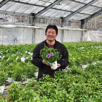ふるさと納税 北茨城市 【長谷川園芸】北茨城産 品種おまかせブルー系クレマチス 5寸 ※5/1〜5/7発送 |  | 03