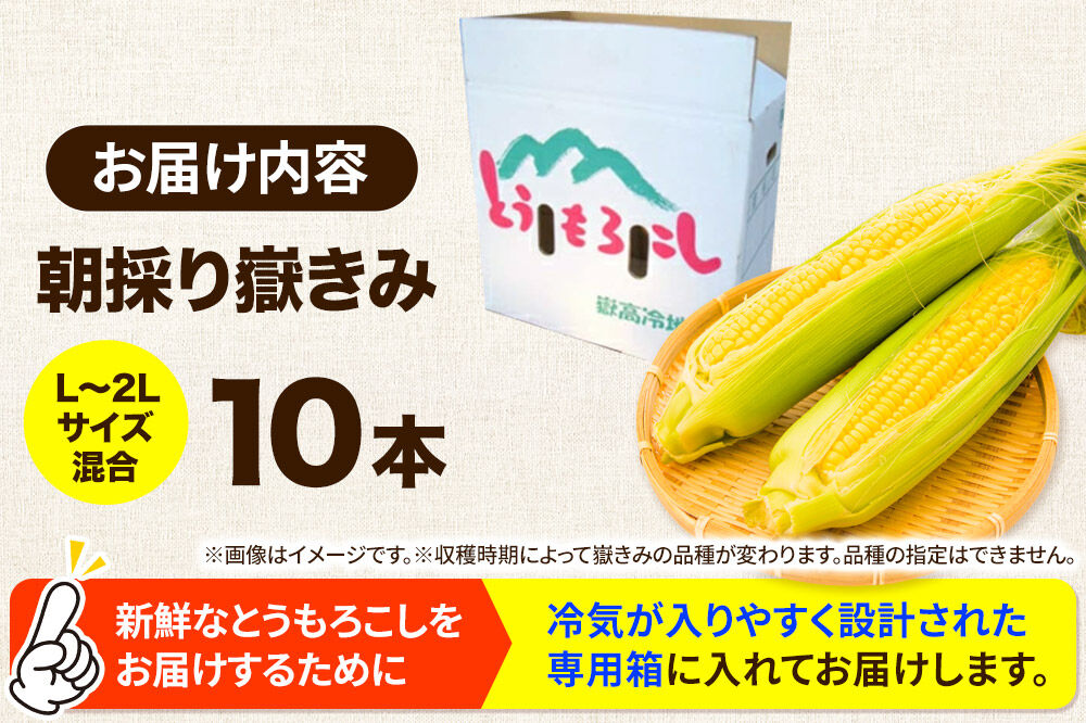 【26年7月～発送】とうもろこし 朝採り 嶽きみ（だけきみ） 10本 L～2Lサイズ 冷蔵 青森県 弘前市 [とうもろこし 朝採り 嶽きみ だけきみ 冷蔵 高糖度]