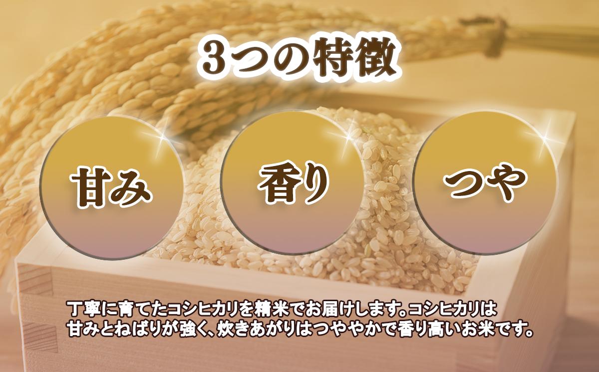 筑波山を望む豊穣な土地