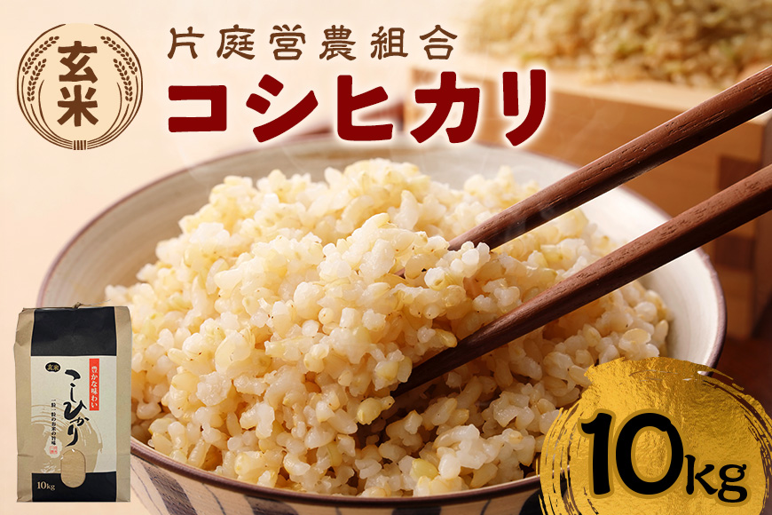 コシヒカリ 玄米 10kg 令和7年産 新米 こしひかり お米 こめ 国産 ごはん ご飯 げんまい コメ 取り寄せ お弁当 弁当 おにぎり 茨城県 笠間市 いばらき