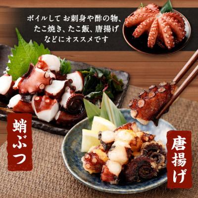 ふるさと納税 阪南市 【2025年6月7日より順次発送】大阪産「泉タコ(生たこ)」650g(1杯〜3杯) |  | 02