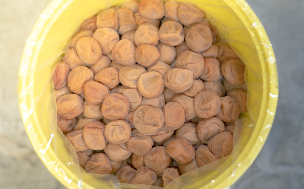 百福梅　個包装十二福　木箱入り有田みかん蜂蜜梅12個入（300ｇ）E003_イメージ3