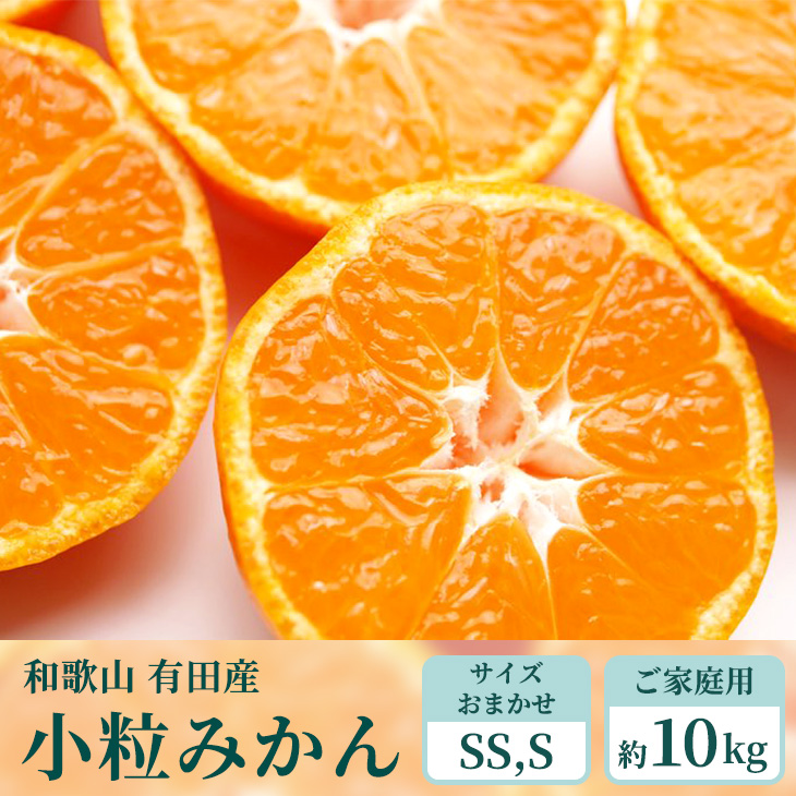 【ご家庭用】和歌山有田みかん約10kg(SS、Sサイズ)【美浜町】〇 ※北海道・沖縄・離島への配送不可 ※2025年10月中旬～2026年1月下旬頃に順次発送予定
