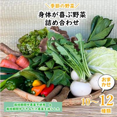 ふるさと納税 行方市 【発送月固定定期便】【上旬発送】『身体が喜ぶ野菜』季節の詰め合わせ(おまかせ10〜12品)全10回