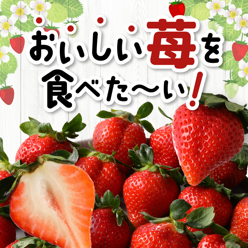 福岡県産　あまおう　約５６０ｇ（約２８０ｇ×２パック）