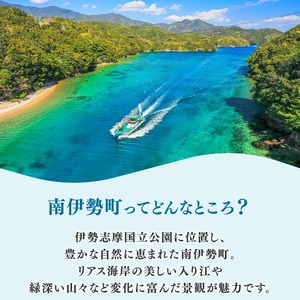 カヤック 体験 クーポン 10000円分 マリンスポーツ 観光 南伊勢 