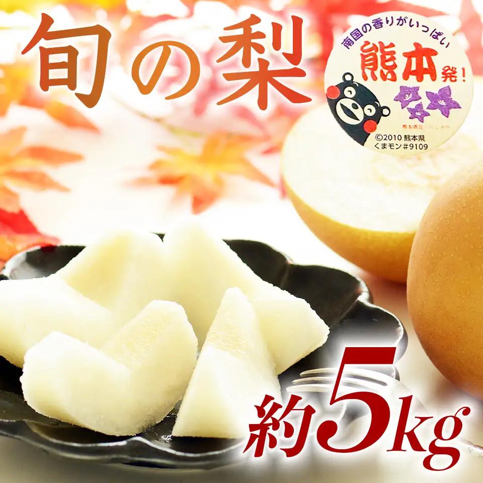 先行予約 旬の梨 品種おまかせ  約5㎏（6～18玉）【2026年8月上旬～2026年10月中旬配送予定】