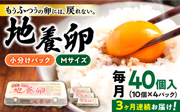 
【3回定期便】最高級 卵 地養卵 Mサイズ 40個×3回定期便 長崎県産 西海市 たまご 卵 玉子 タマゴ 鶏卵 オムレツ 卵かけご飯 朝食 料理 人気 卵焼き＜垣山養鶏園＞ [CBB018]
