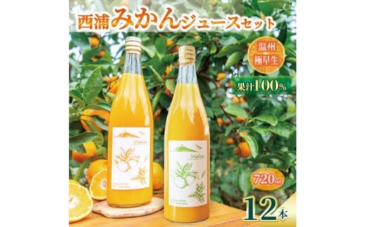 オレンジ ジュース ストレート 果汁 100％ 温州 極早生 みかん 720ml×12本 飲み比べ セット 西浦 蜜柑 濃厚 飲み物 ミカン 人気 贈答用 静岡 沼津
