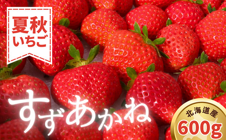 【2025年7月以降順次発送】夏秋イチゴ すずあかね 計600g 《厚真町》【こばやしいちご農園】いちご いちご いちご いちご [AXBT003]