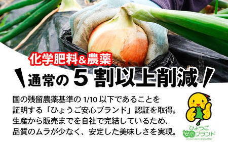 淡路島 貯蔵玉ねぎ 6kg 訳あり サイズ不揃い 簡易箱でお届け / 玉ねぎ