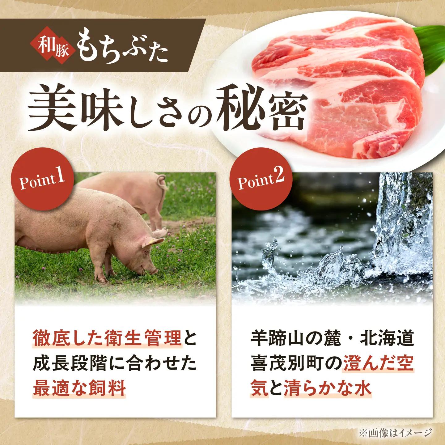 和豚もちぶた しゃぶしゃぶセット 500g×2種 [AJAX002] しゃぶしゃぶ 豚肉