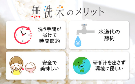 【新米・先行予約】令和7年産 米どころ福井の無洗米！無洗米いちほまれ15kg 特A通算7回！ [e27-e003_10] 福井県 無洗米 いちほまれ 米 お米