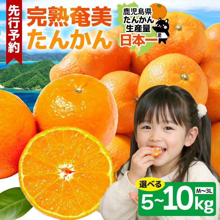 【ふるさと納税】【2027年先行予約】 奄美大島産 おいしい 完熟 たんかん 選べる 5kg 10kg 光センサー 選別 期間 数量 限定 予約 柑橘 みかん 果物 フルーツ 旬 甘い サイズ おまかせ 奄美大島 ピーラー付き フラスコ ふるさと納税 鹿児島 奄美市