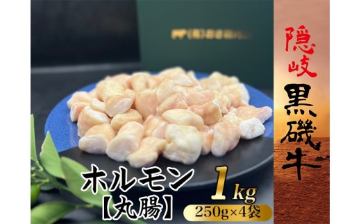 1113　隠岐黒磯牛　ホルモン（丸腸）1㎏