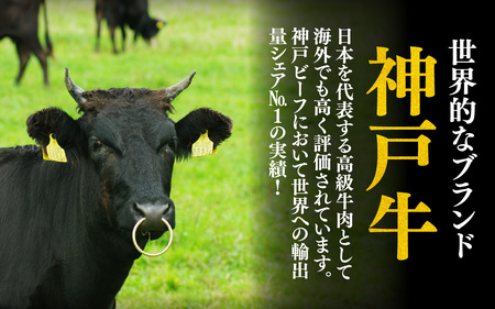神戸牛 ブリスケ（肩ロース）1.5kg