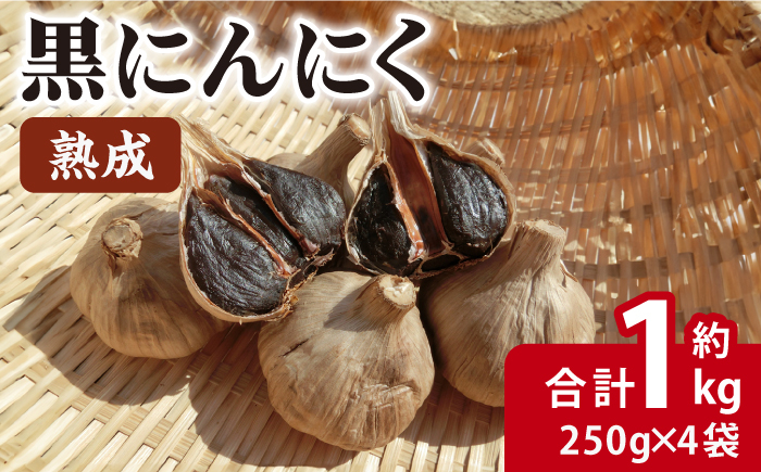 
            熟成 黒にんにく 合計約1kg（250g×4袋）/ 熟成 サラダ トッピング 隠し味 健康 / 大村市 / 株式会社三浦かんさく市[ACAE002]
          
