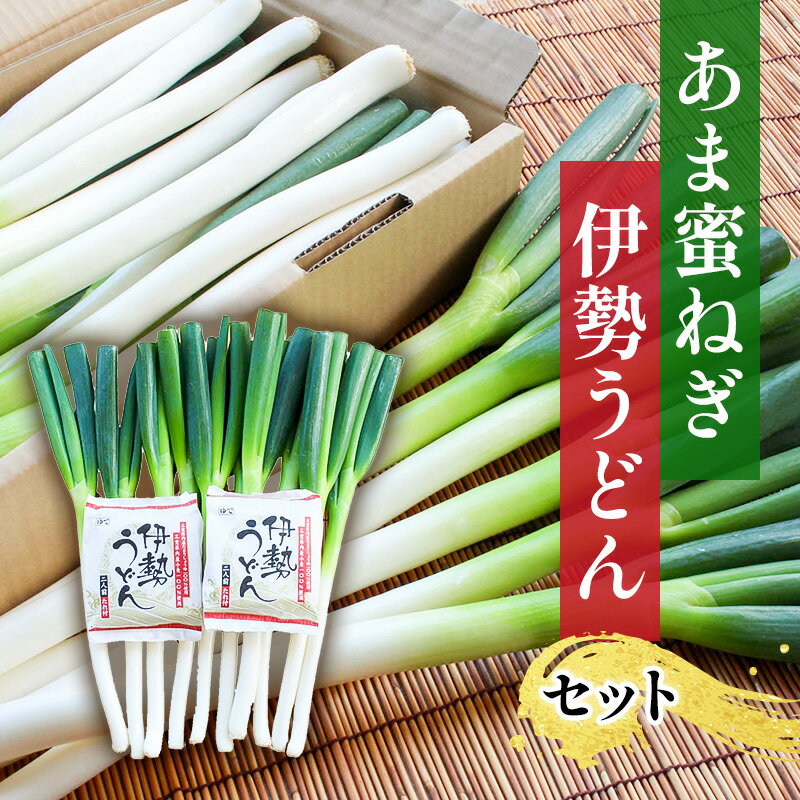 【ふるさと納税】あま蜜ねぎ・伊勢うどんセット【野菜 ねぎ ネギ 長ネギ うどん】 麺類