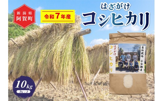 《令和7年産米》 越後奥阿賀産はざがけ（天日干し）コシヒカリ　10kg（5kg×2袋）