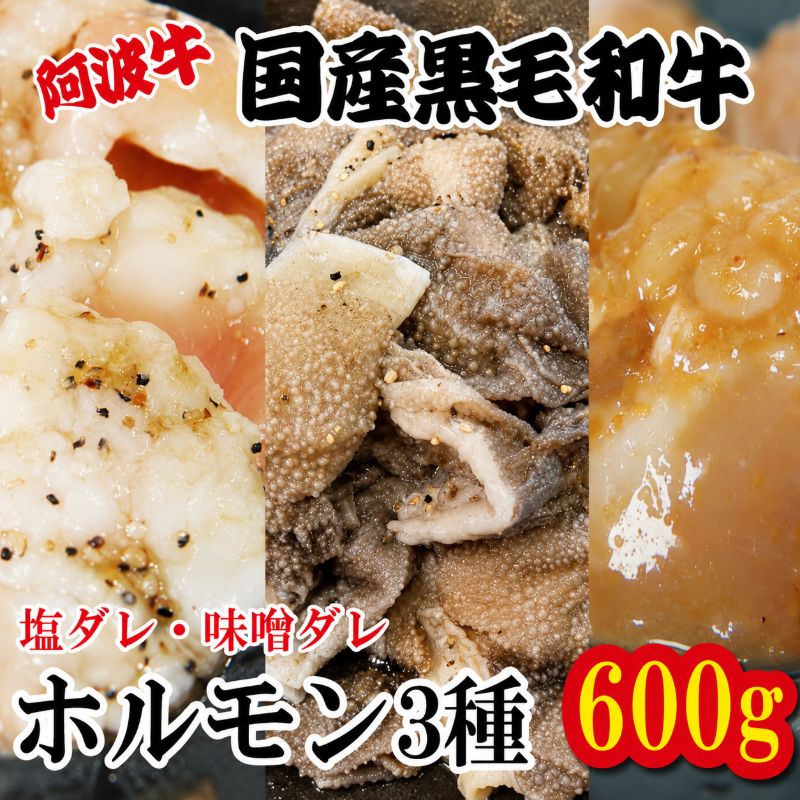【ふるさと納税】 ホルモン 小腸 大腸 センマイ 3種セット 阿波牛 200g×3パック 小分け 計600g 国産 牛 黒毛和牛 塩ダレ 味噌ダレ たれ 塩 味噌 鍋 焼肉 脂 焼き シマチョウ ホソ もつ 肉 牛肉 BBQ 【北海道・東北・沖縄・離島への配送不可】