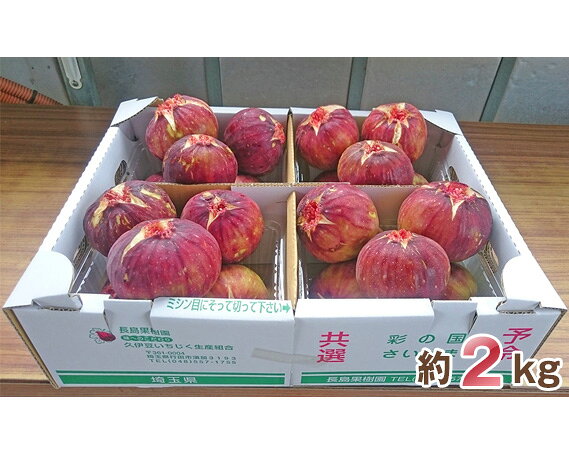 【ふるさと納税】大きな実が自慢の「生いちじく」約2kg ／ 果物 フルーツ 旬 甘い おいしい 評判 送料無料 埼玉県　No.006