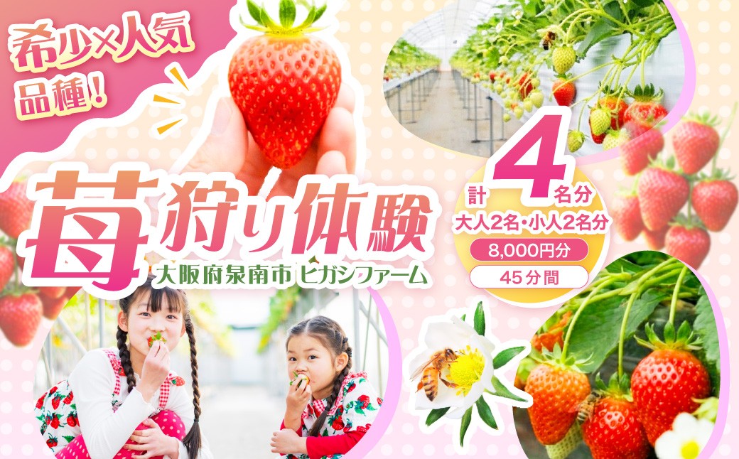
                  【見つけて、摘んで、食べて！】希少いちご「ほしうらら」を摘みに行こう いちご狩り 体験チケット（大人2名 5,000円分・小人2名 3,000円分）【121D-002】
                