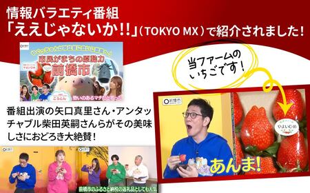 いちご 3～6品種 食べ比べ 計6パック 2027年 先行予約 | いちご