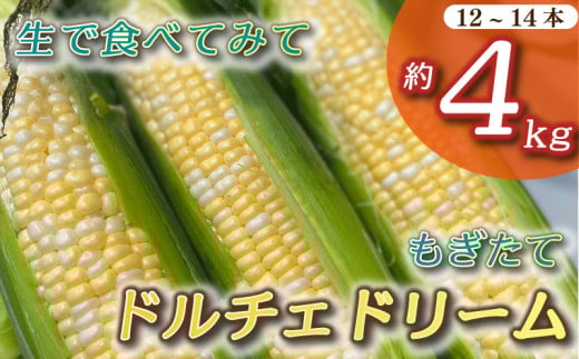 【2026年6月～7月中旬順次発送予定】 とうもろこし もぎたて ドルチェドリーム 約 4kg 12本~14本 トウモロコシ コーン 美味しい おいしい 茹でとうもろこし 焼きとうもろこし スープ 野菜 やさい バーベキュー BBQ 産地直送 新鮮 生鮮 食品 コーンスープ おすすめ 国産 農家直送 産地直送 夏野菜 キャンプ 甘い 家庭用 とうきび トウキビ 静岡県 牧之原市 タイラファーム