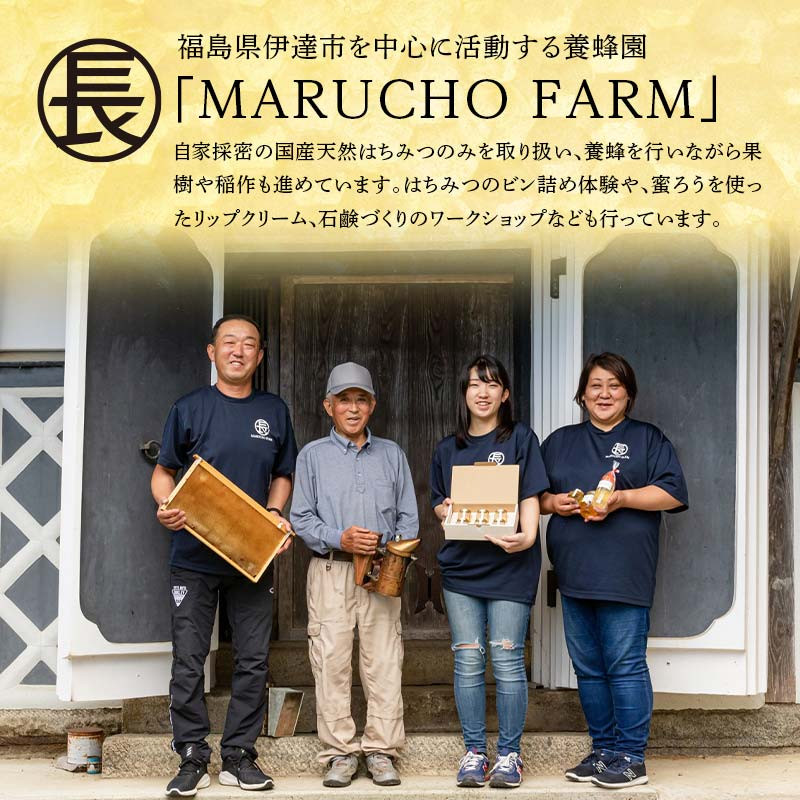 はちみつ 3種詰め合わせ 510g(170g×3) 伊達市産 国産 天然 蜂蜜 ハチミツ ハニー F21C-584