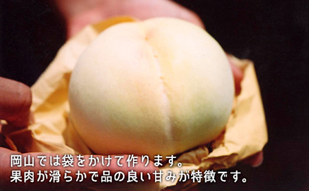 桃 ぶどう 2026年 白桃 晩生種 3玉 シャイン マスカット 1房 ニュー ピオーネ 1房 合計約1.8kg  岡山県産 シャインマスカット ピオーネ